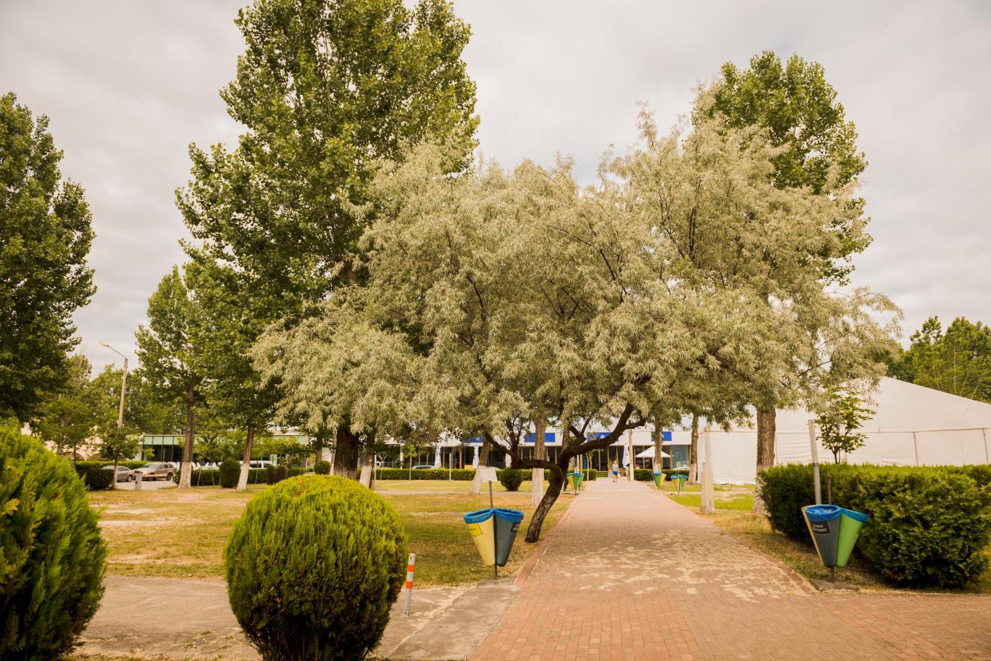 Enigma Resort